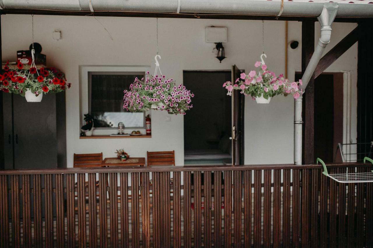 Paulaapartment&Rooms Oradea Εξωτερικό φωτογραφία